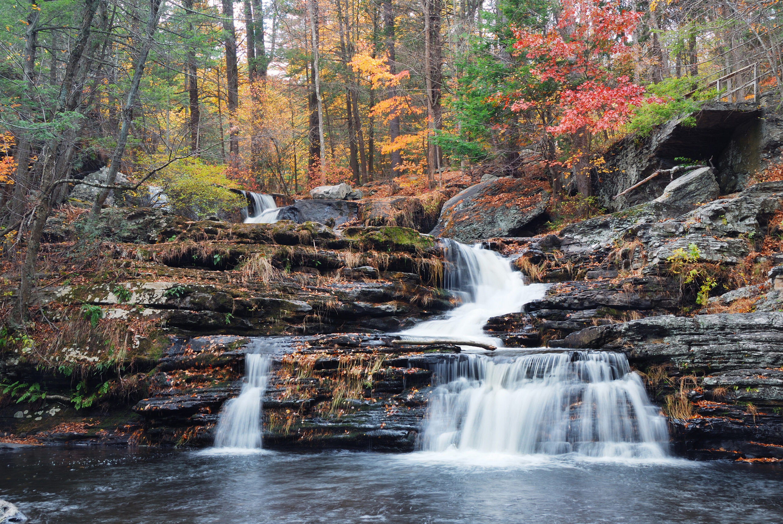 Autumn Waterfall in mountain Readings By Ryka in Tacoma, WA psychic